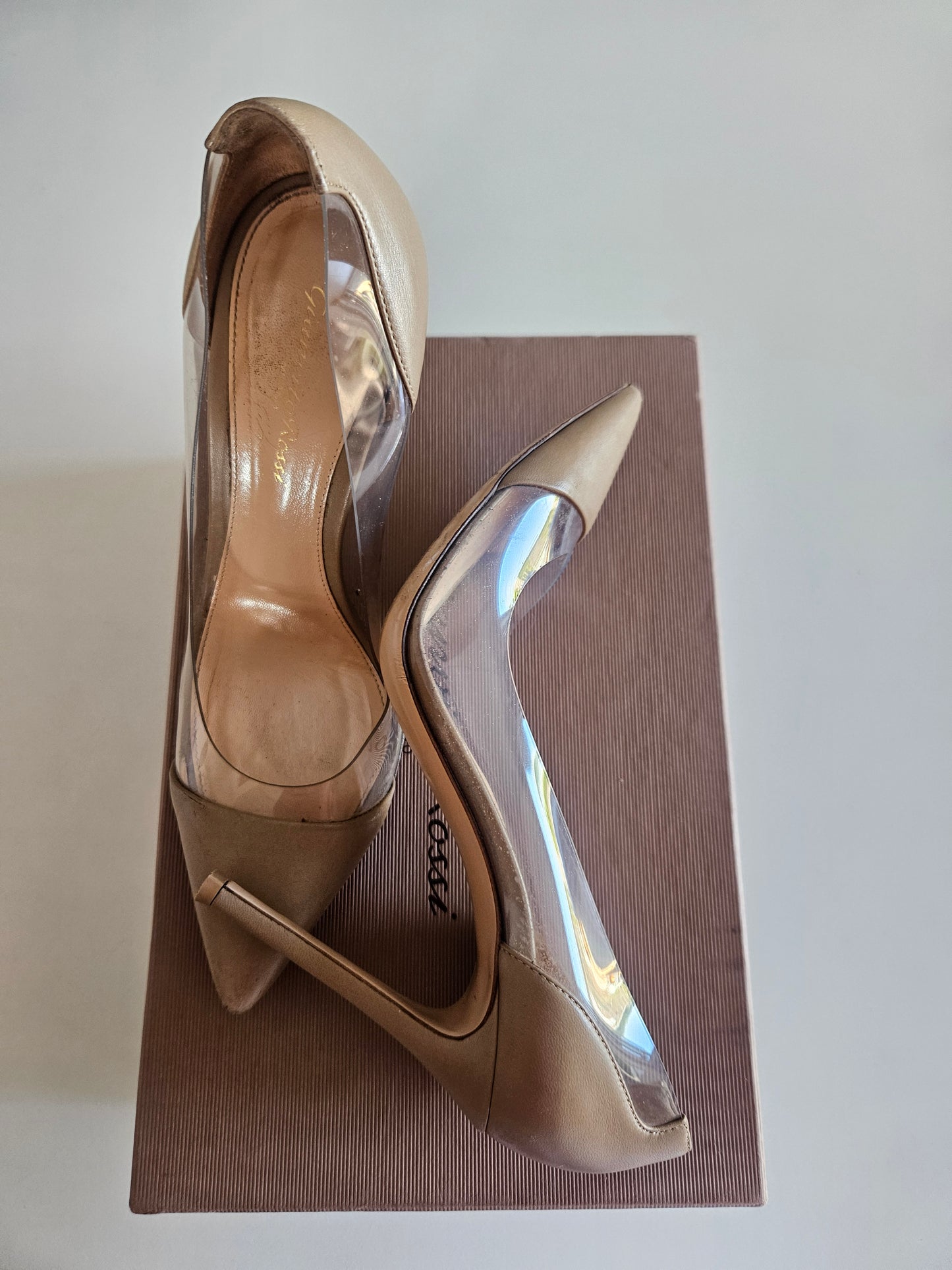 Plexi leather Gianvito Rossi Pumps / Well Worn