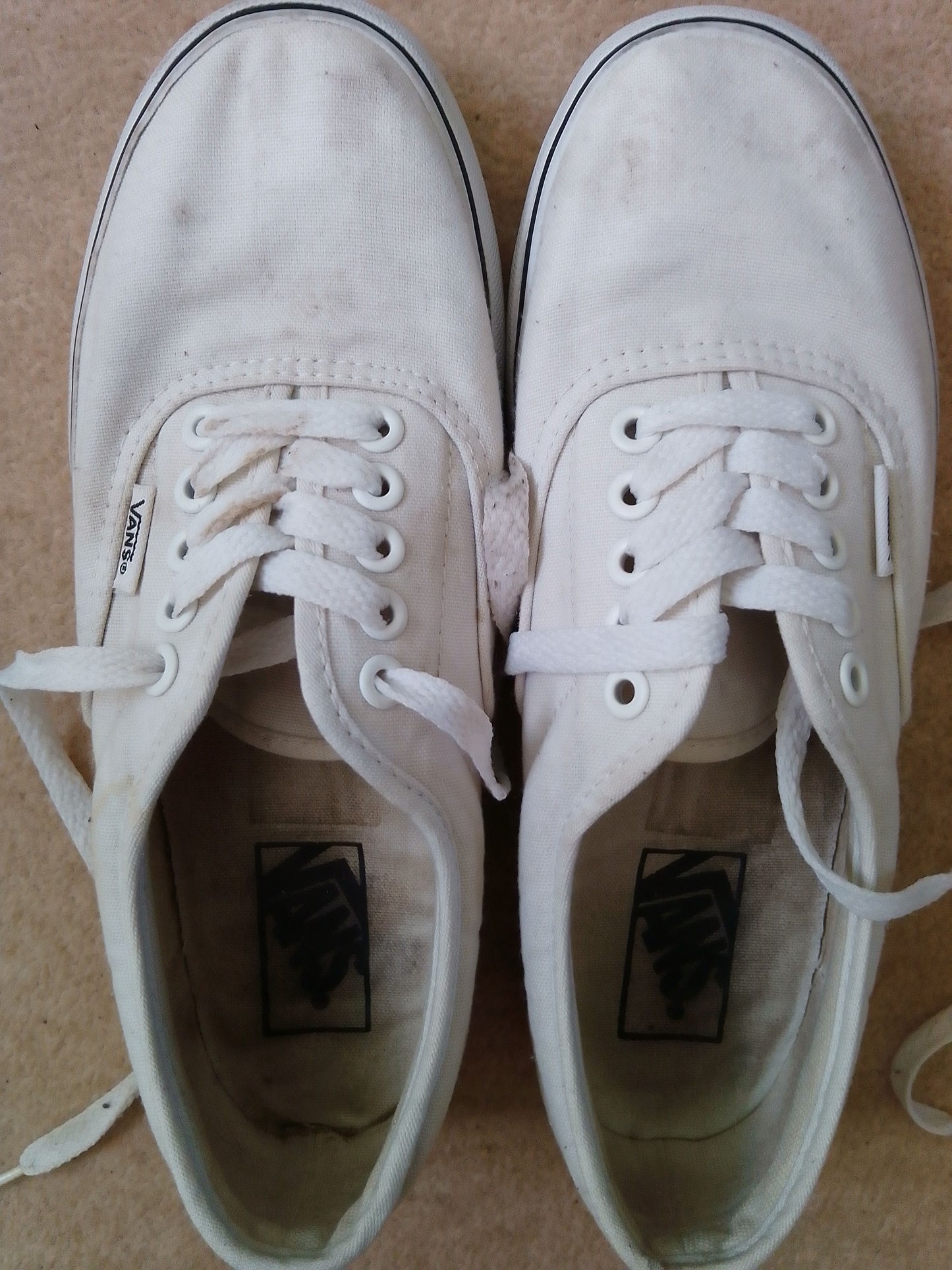 Well Worn Vans / UK 5.5